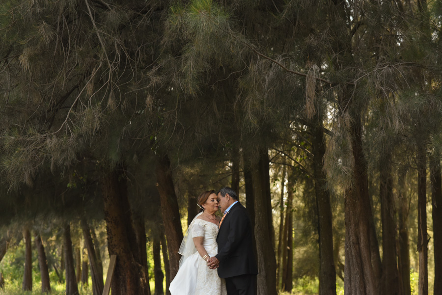 Fotógrafo en el Pinar del Chayán