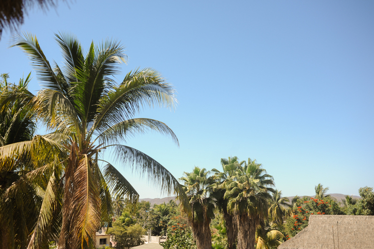 La Manzanilla, Jalisco